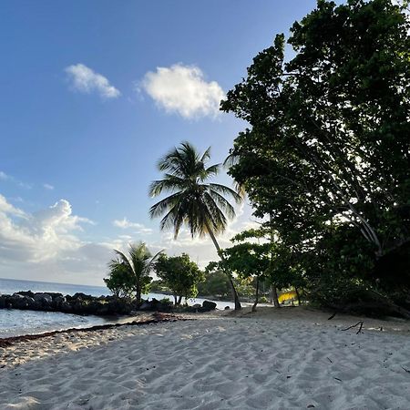 Villa Caraibes Sainte-Luce Luaran gambar