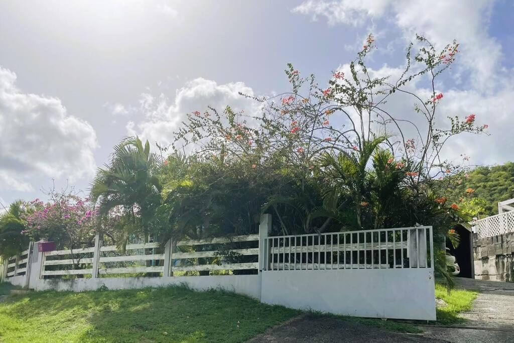 Villa Caraibes Sainte-Luce Luaran gambar