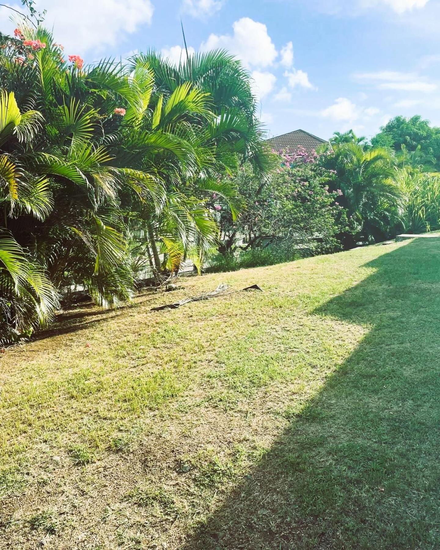 Villa Caraibes Sainte-Luce Luaran gambar