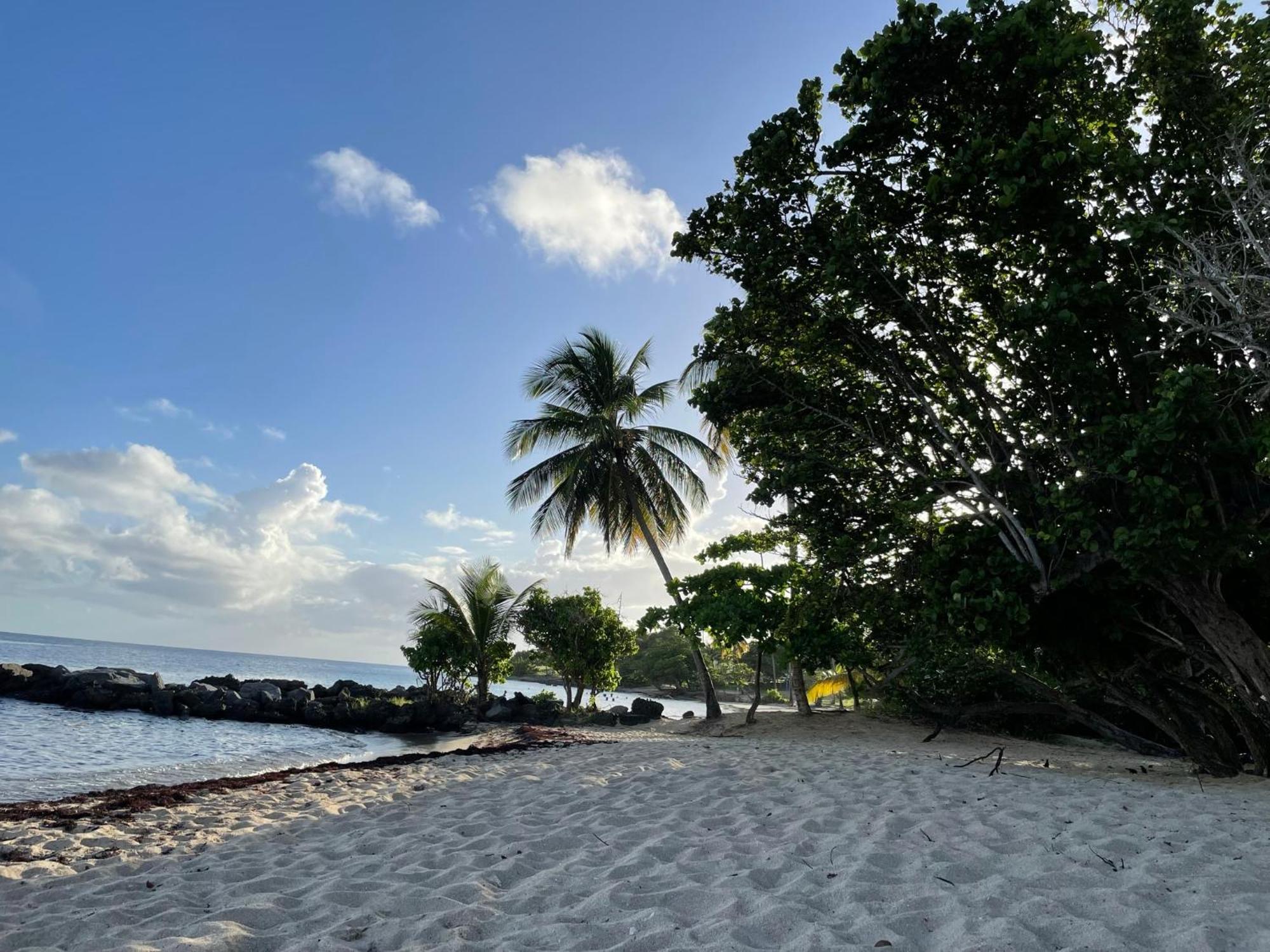 Villa Caraibes Sainte-Luce Luaran gambar